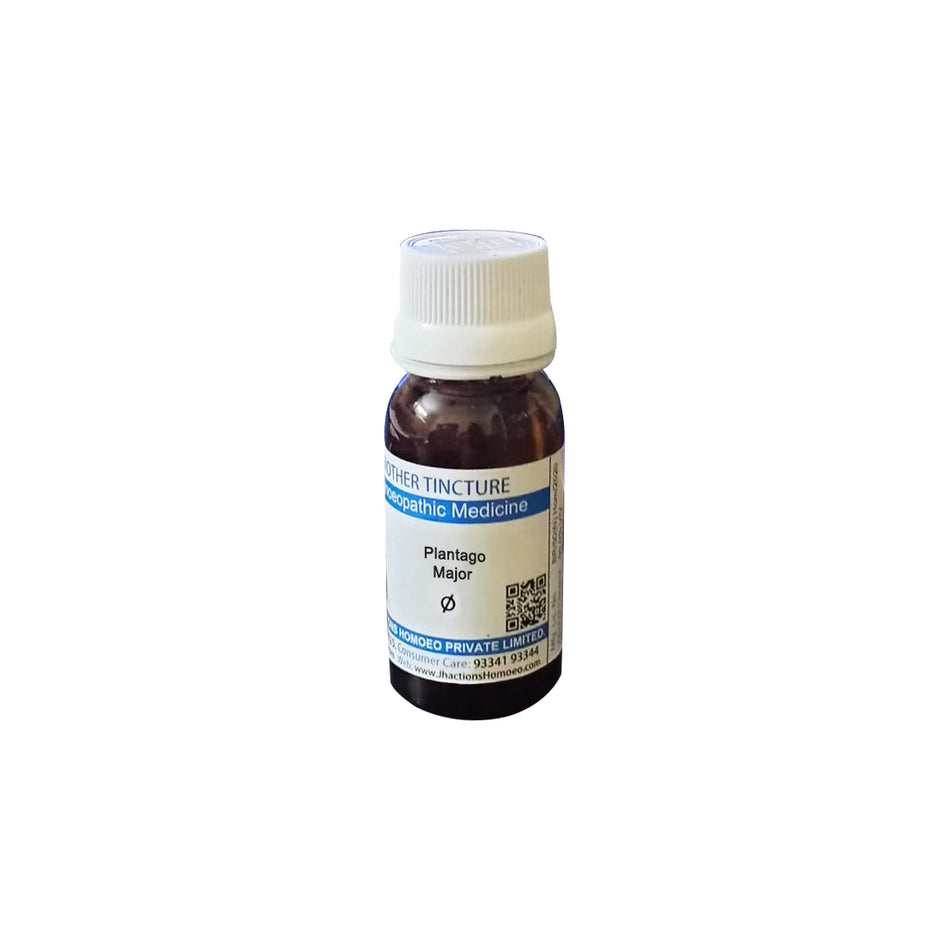 Plantago Major 1X (Q) (30ml)