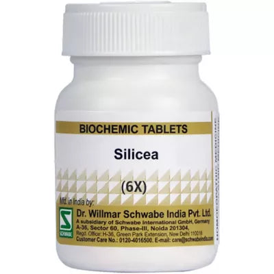 Schwabe India Silicea 6X (20g)